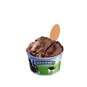 100ml ben & jerry chocolate fudge brownie